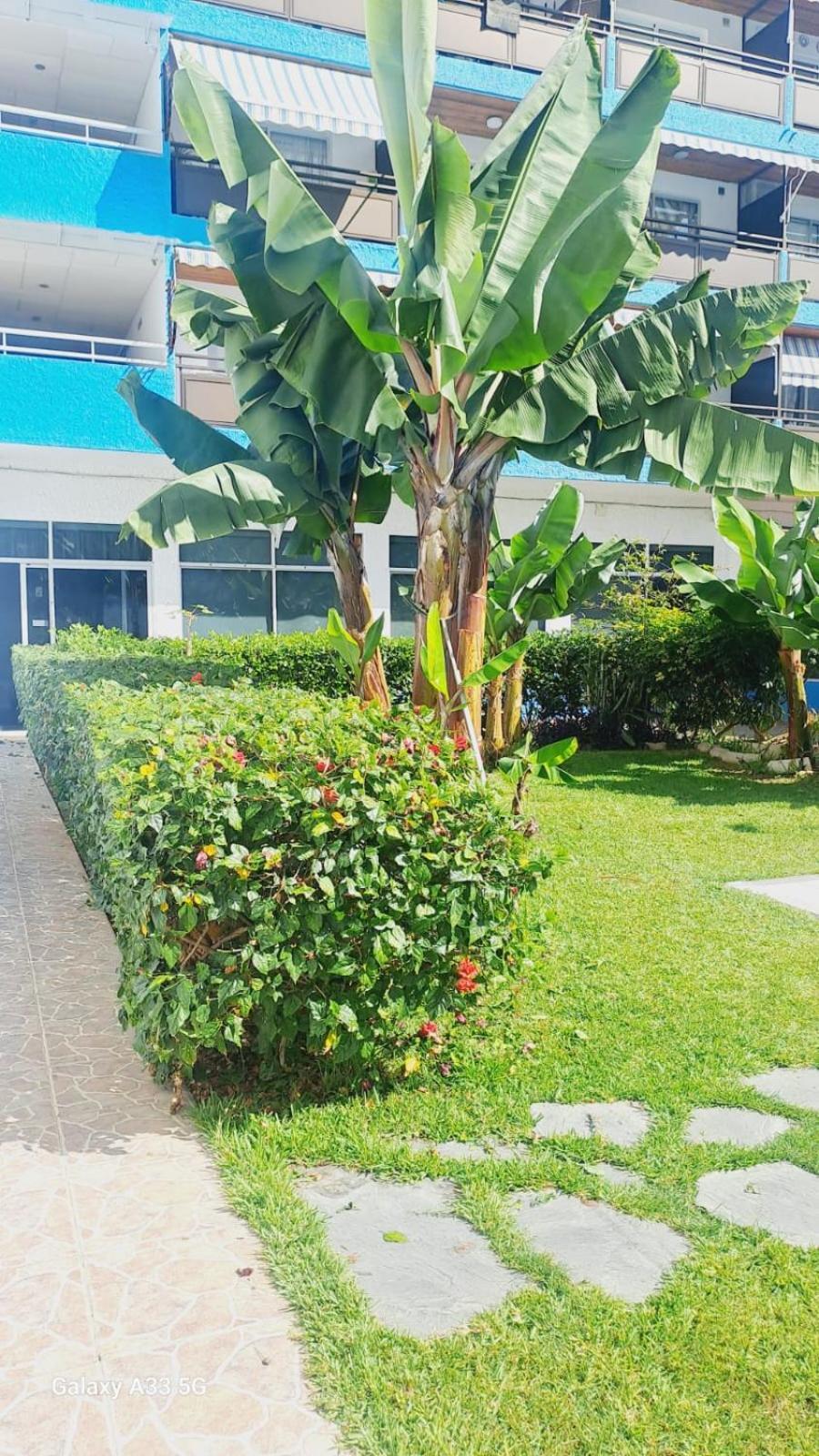 Estudio Playa Jardin Puerto de la Cruz  Extérieur photo