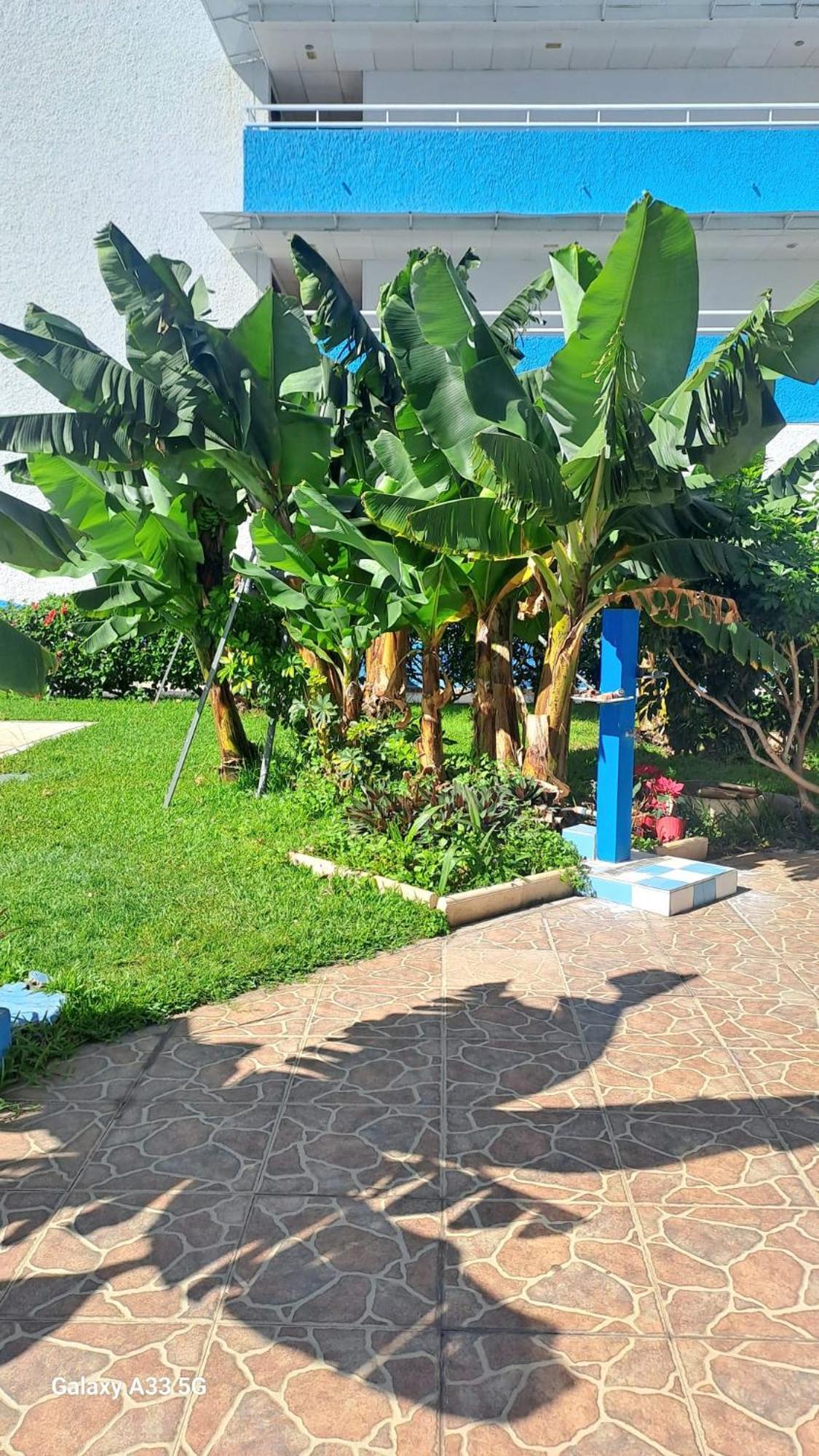 Estudio Playa Jardin Puerto de la Cruz  Extérieur photo